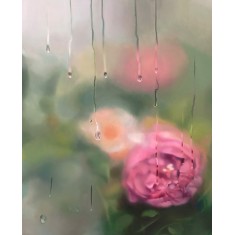 Hafsa Shaikh, 36 x 48 inch, Oil on Canvas, Floral Painting, AC-HFS-050